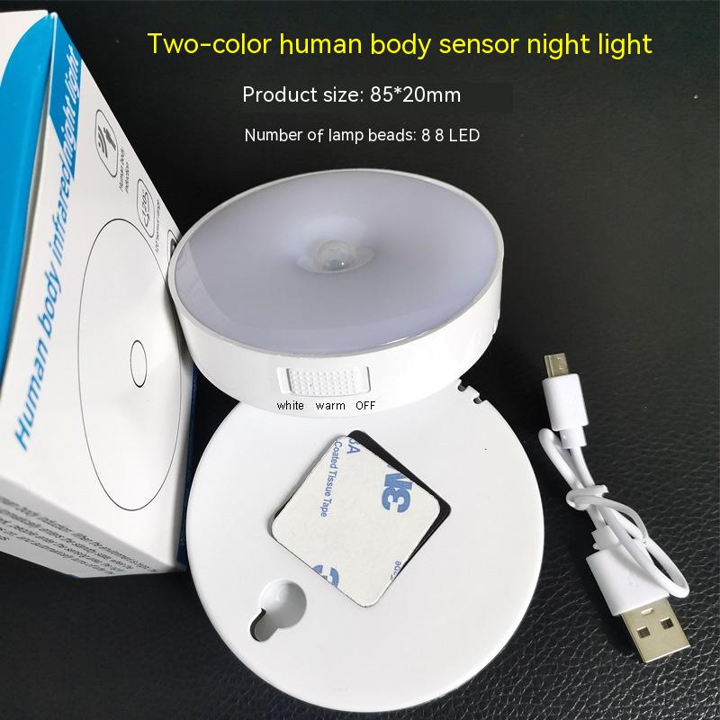 Induction du corps LED Petite lumière de nuit USB charge