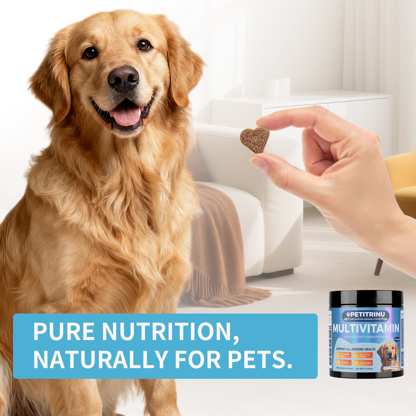 Un seul auto-pickup... Divers multivitamines pour chiens