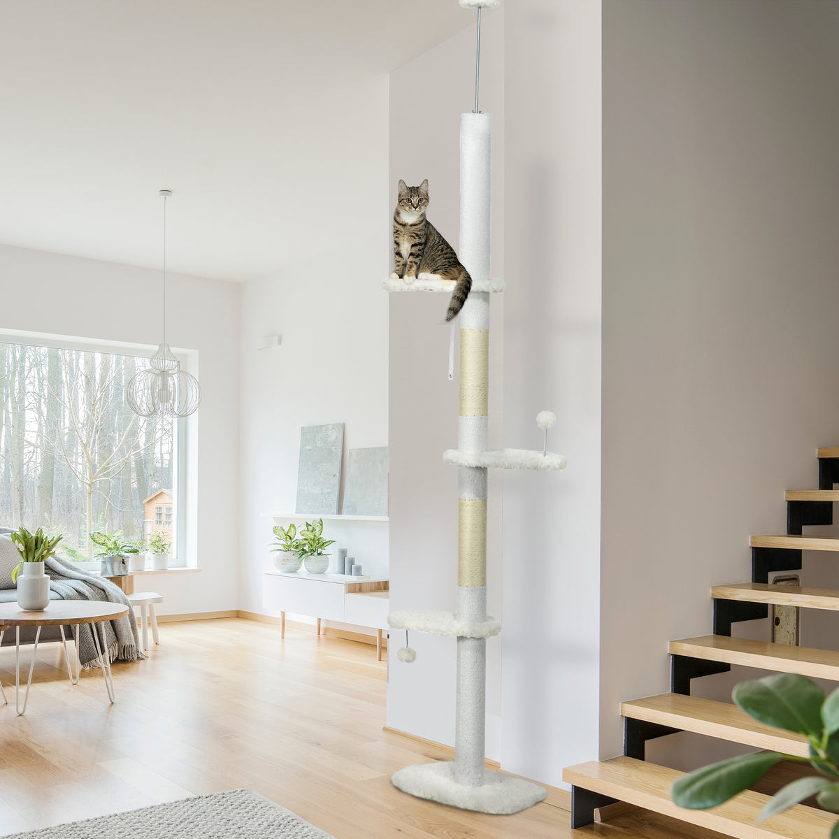 8,4 Sol jusqu'à l'arbre de chat plafond