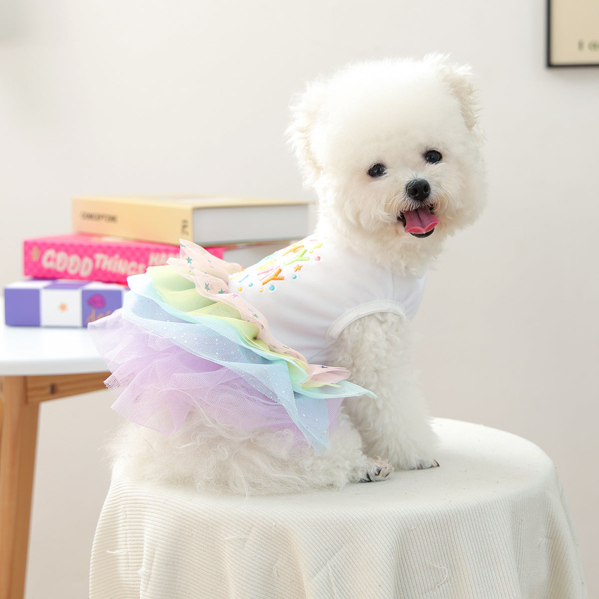 Robe Tutu pour petit chien
