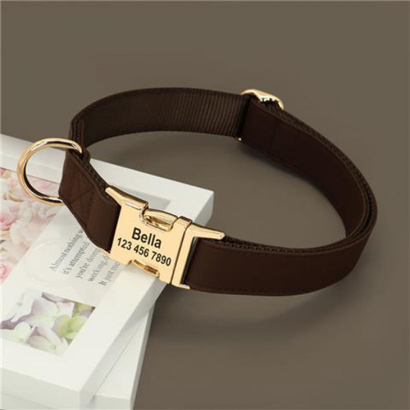 Petit chien Corgi Méthode de lutte contre le collier