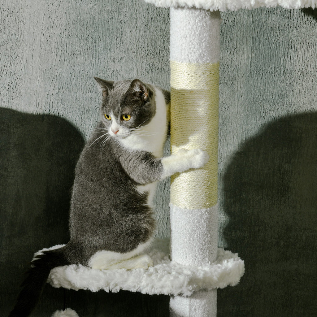 8,4 Sol jusqu'à l'arbre de chat plafond