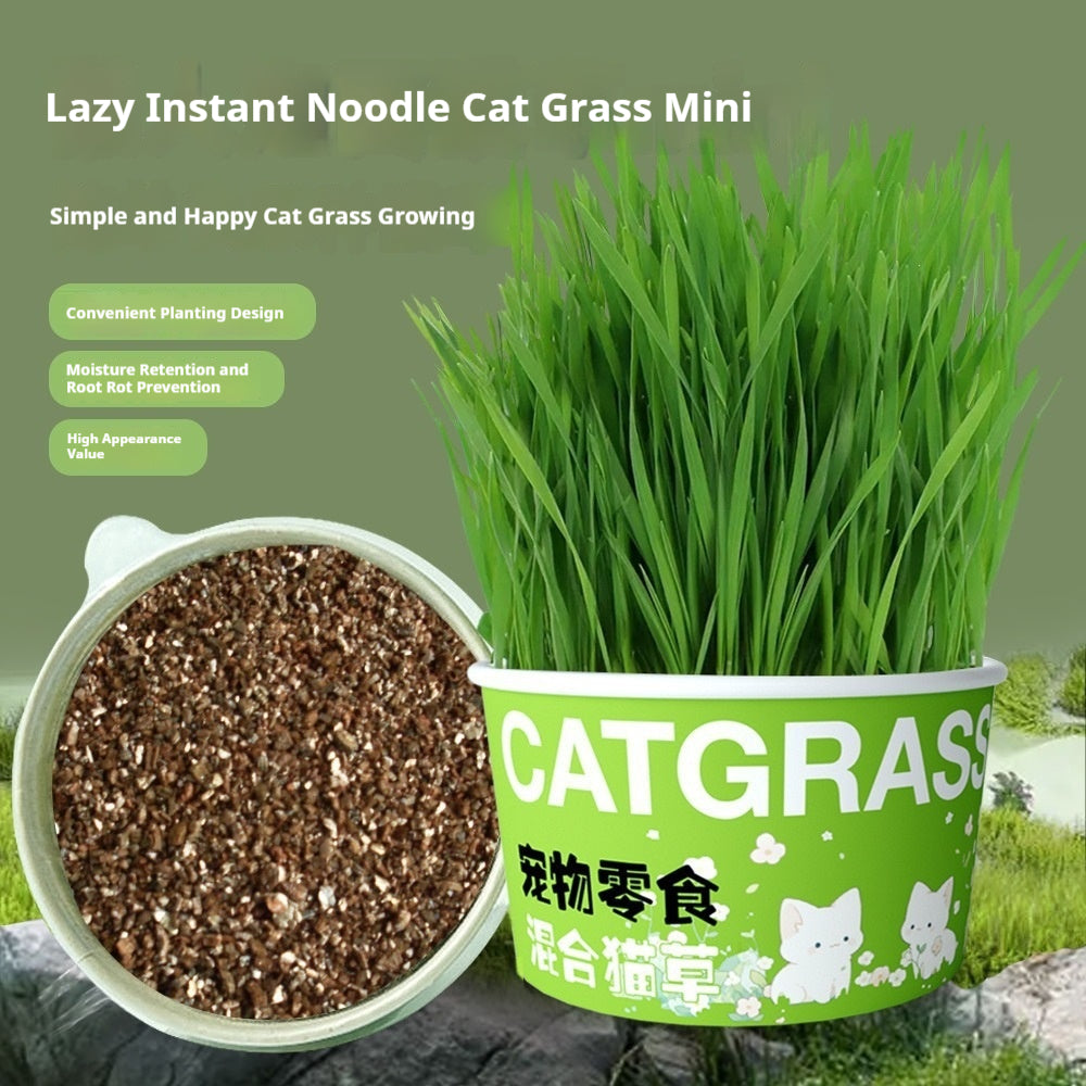 Snack animal Instant noodle pot Catnip