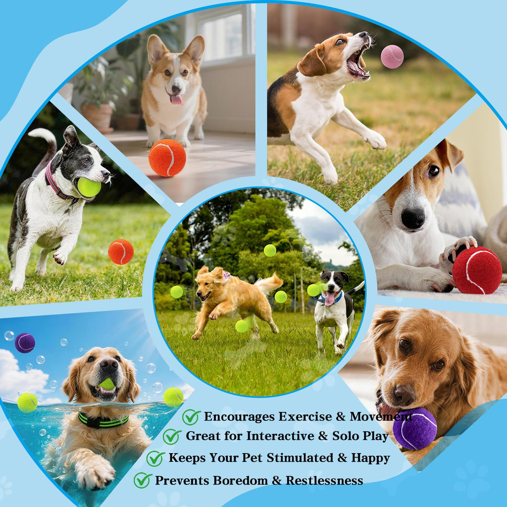 Balles de chien, Balles de tennis pour chiens, Colorful facile d'attraper les animaux jouer balle
