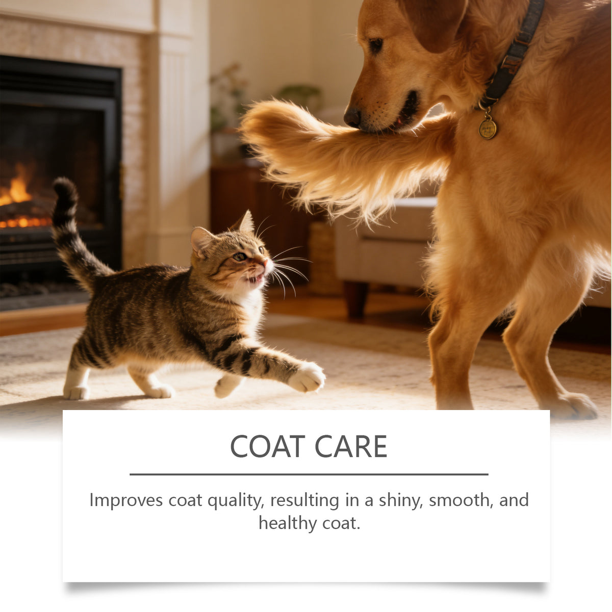 Suppléments de soins à domicile pour le corps des animaux pour les chats et les chiens