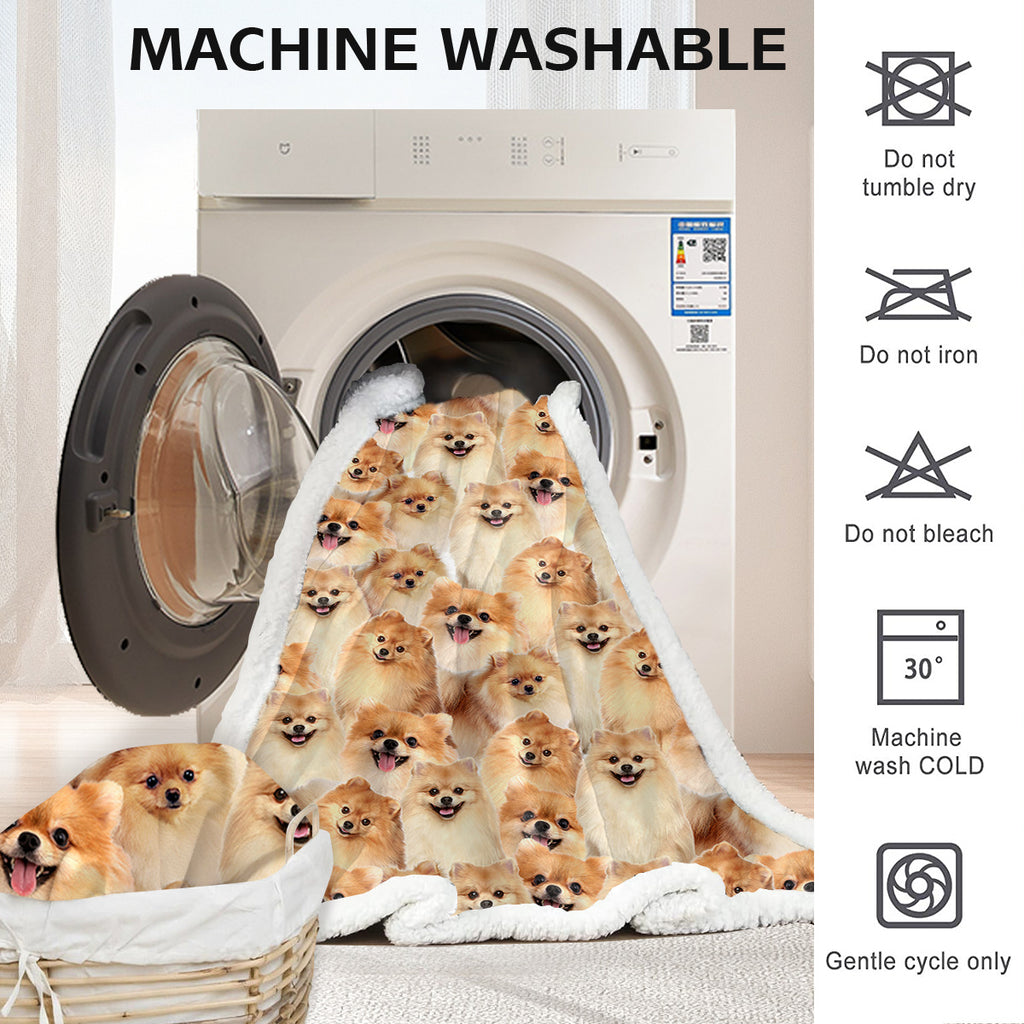 Pattern Poméranie Flèche Blanket filles Brown Sherpa Blanket mignon chien animal léger W
