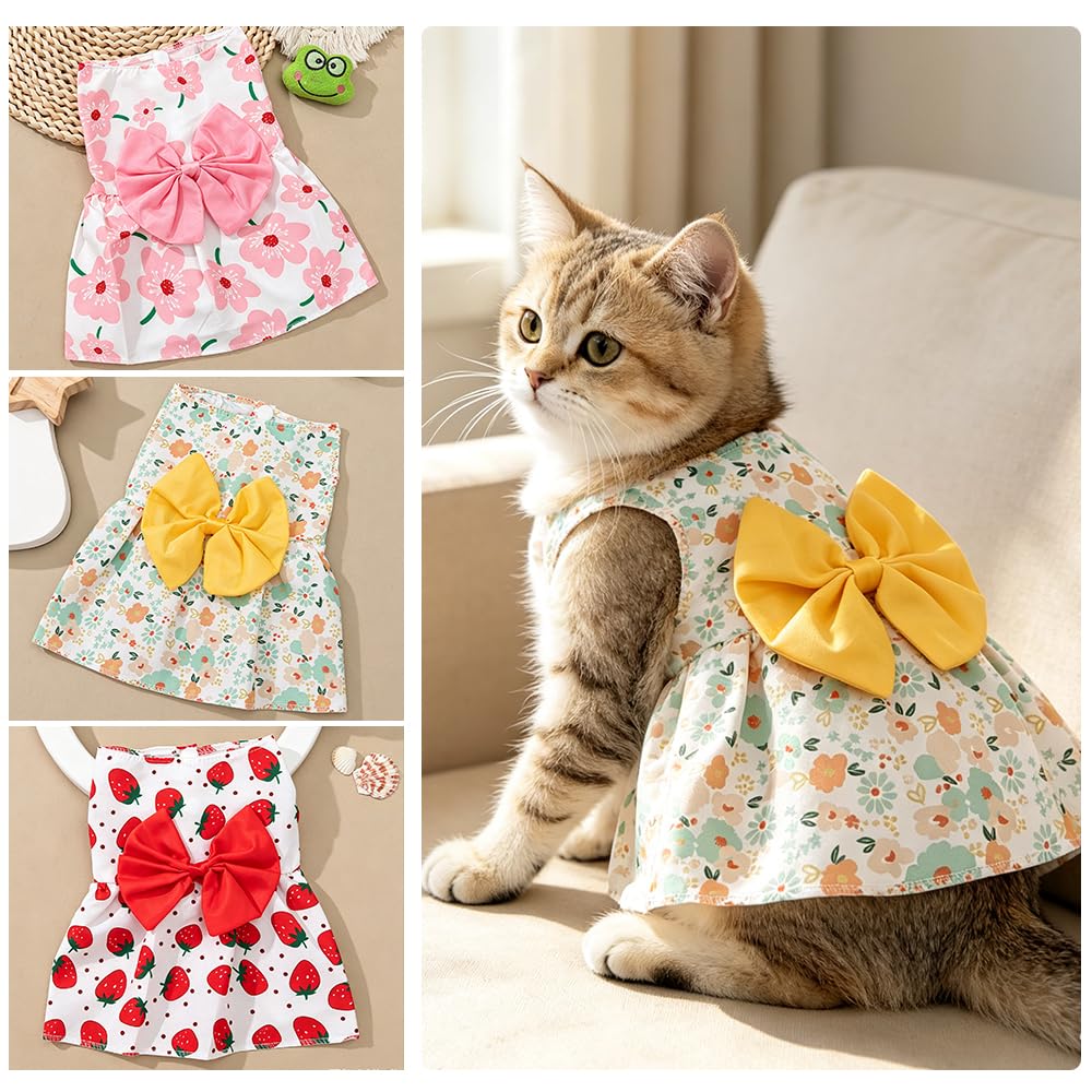 Robe de chien de 3 paquets
