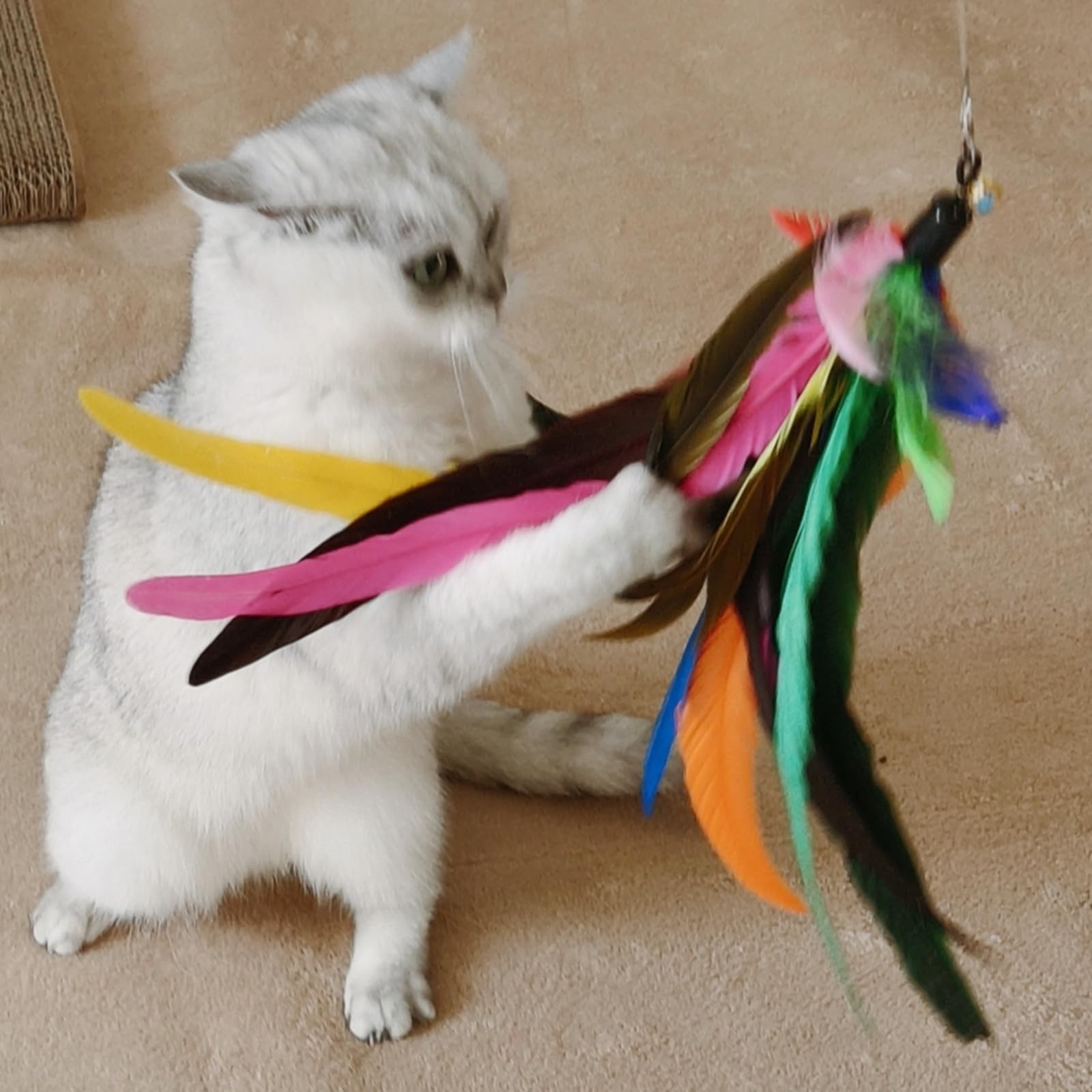 2PCS Retractable Cat Teaser Wands & 9PCS Feather Recharges Jeu de jouets Tige télescopique double taille