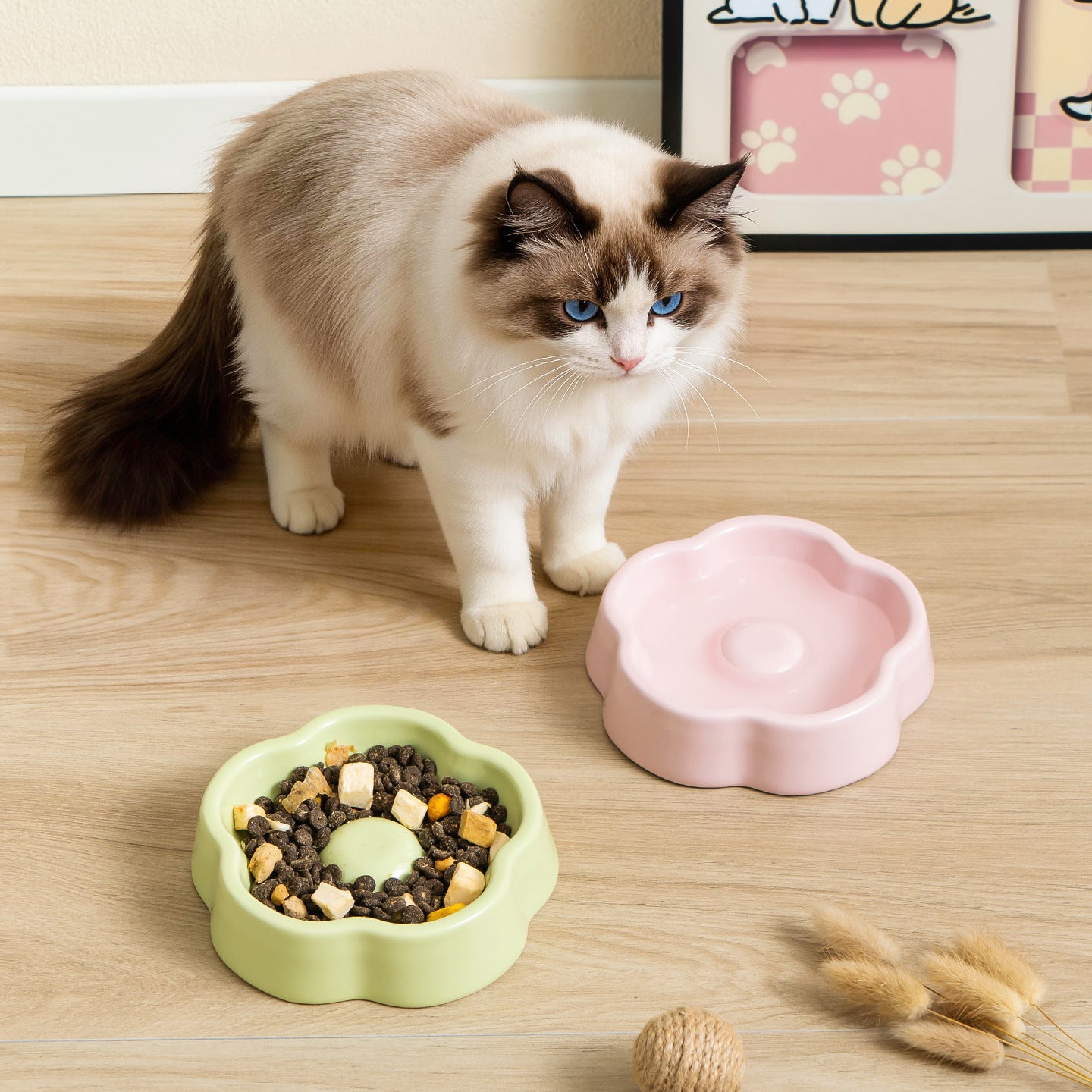 Boule d'animaux de compagnie en céramique de couleur macaron