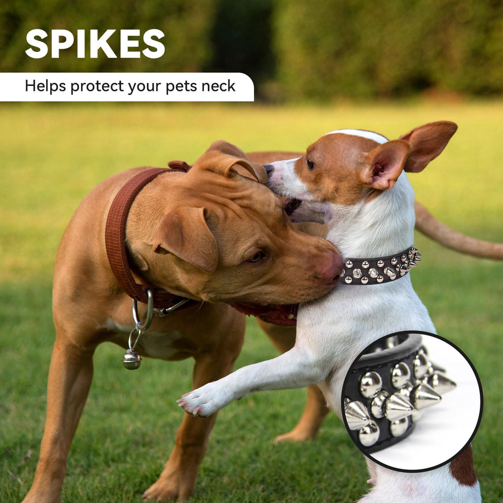 Petit collier de chat de chien noir Spiked pour petits chiens moyens Garçon Homme - pupp réglable