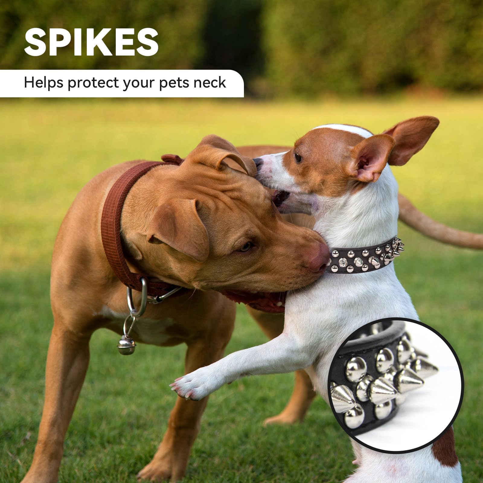 Petit collier de chat de chien noir Spiked pour petits chiens moyens Garçon Homme - pupp réglable
