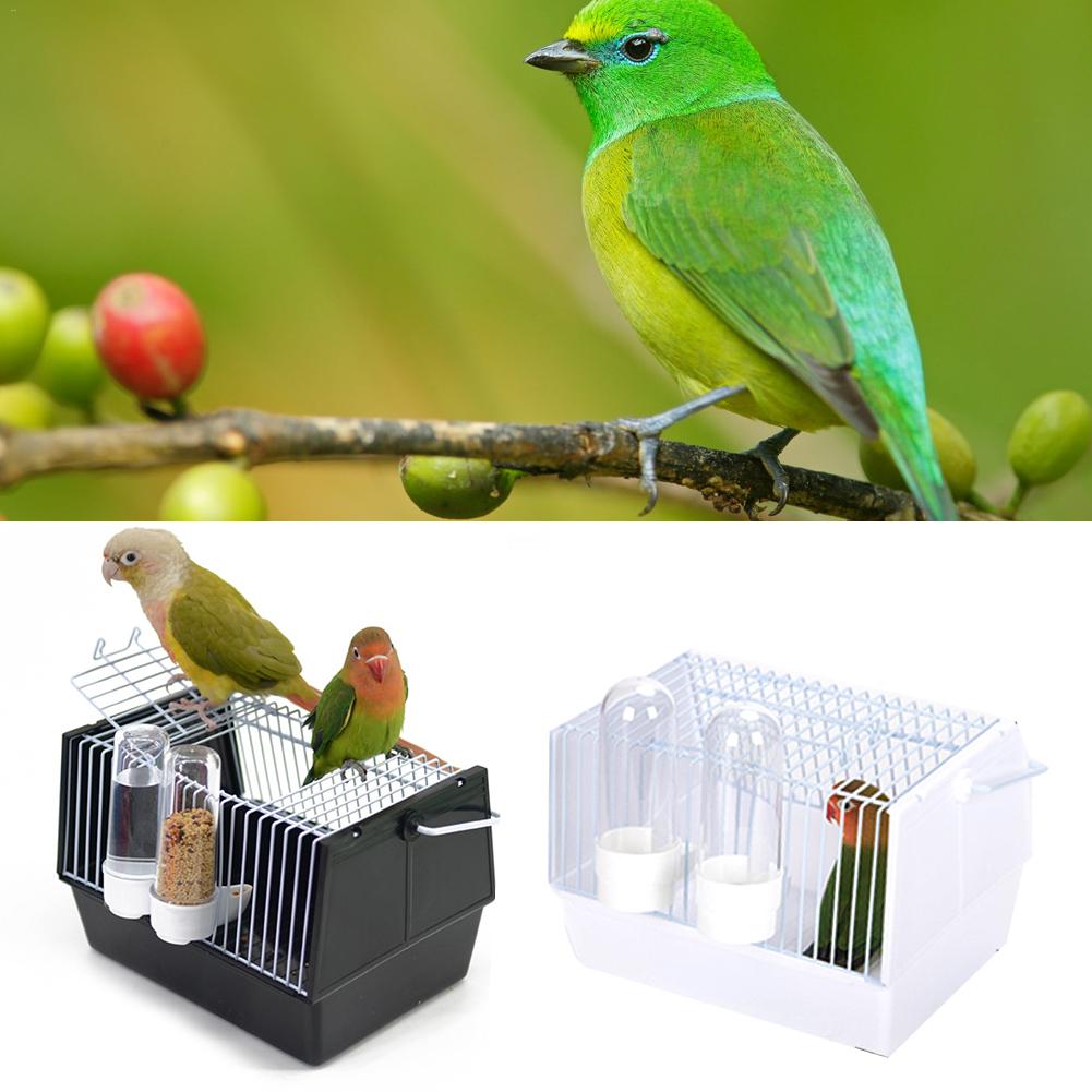 Hors de la cage des oiseaux