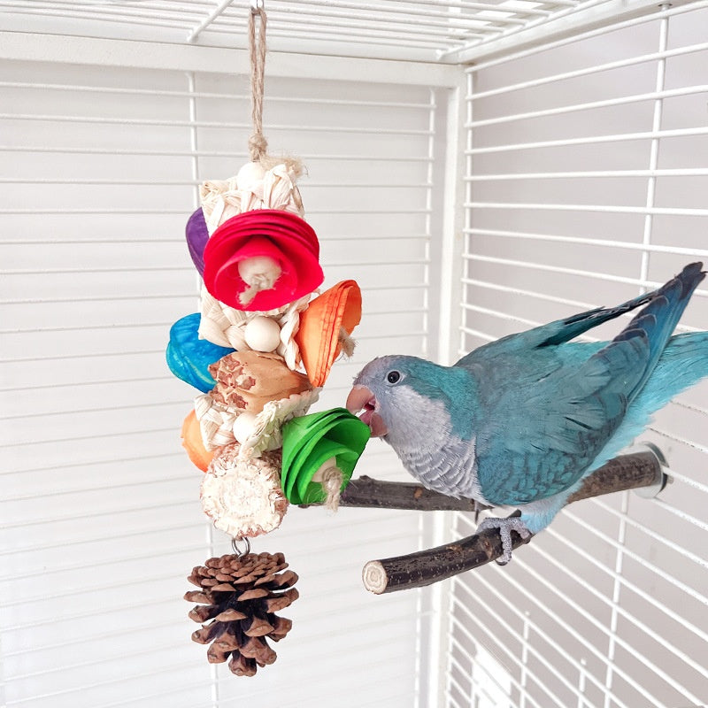 Matériel naturel Jouet de perroquet Pendentif de cage d'oiseau