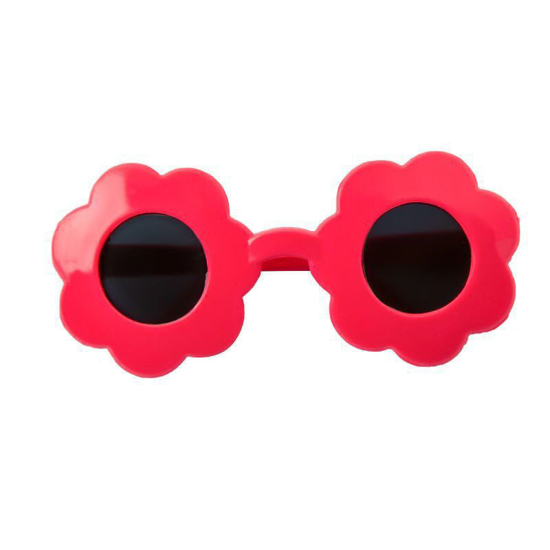 Lunettes de soleil pour animaux de compagnie