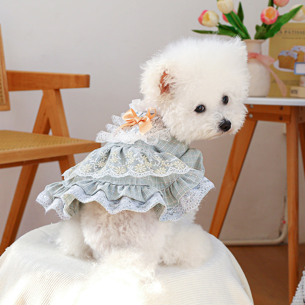 Jupe en dentelle pour petit chien de style court