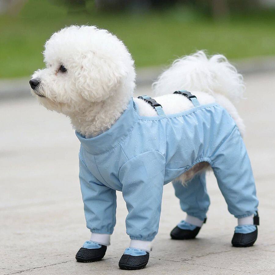 Pantalons anti-poussière pour chiens Et résistant à l'urine