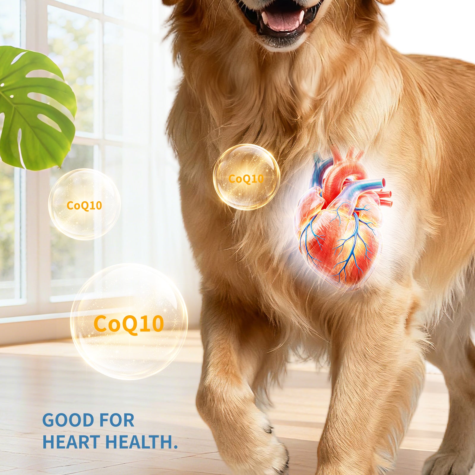 Un seul auto-pickup... Divers multivitamines pour chiens