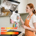 Nettoyeur de vapeur portatif 1000W 400ml pour la maison