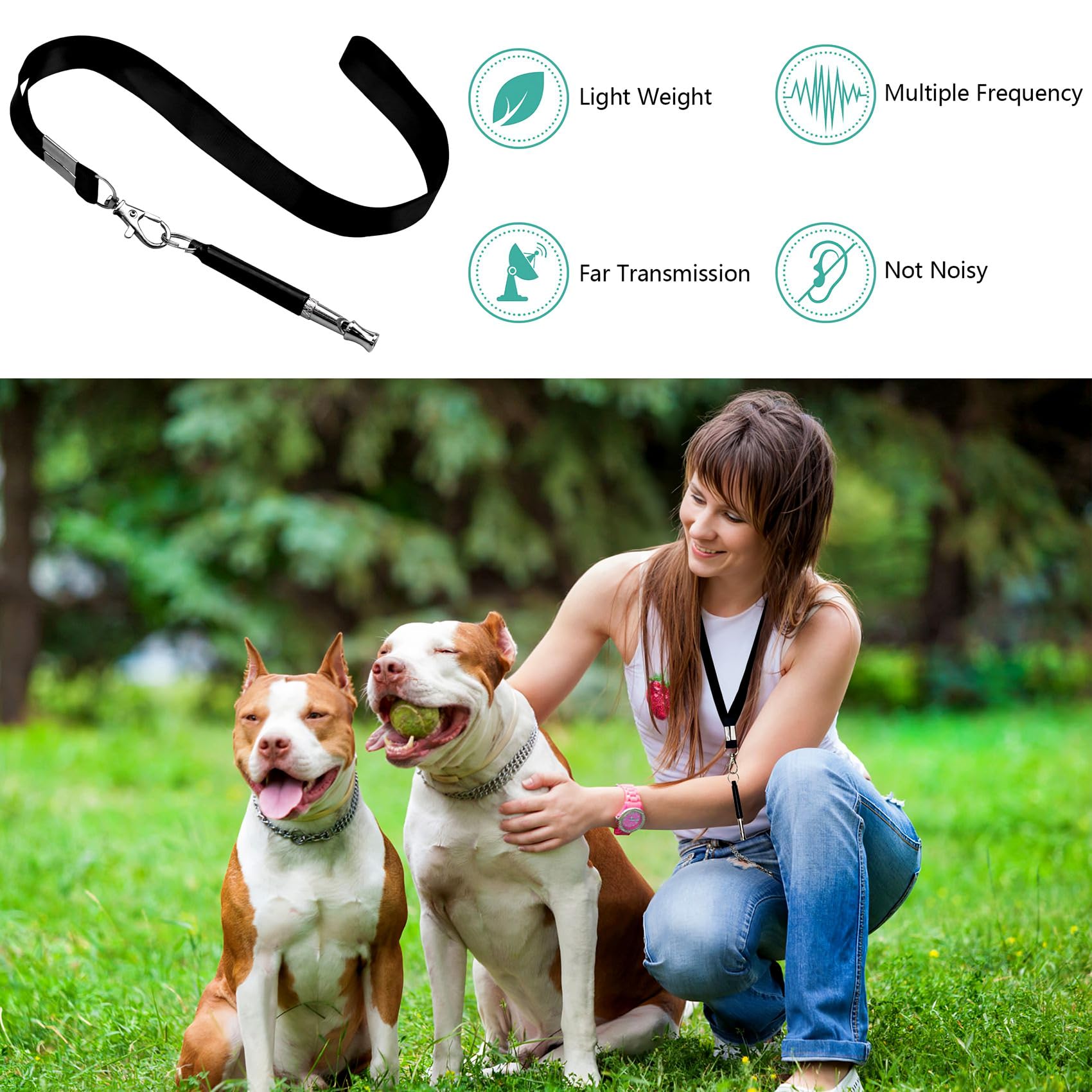 Whistle de chien 2 Pack
