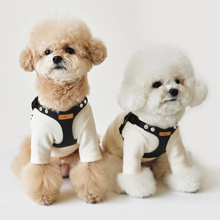 Pet Dog Leash TeddyBichon Harnais extérieur de poitrine et laisse