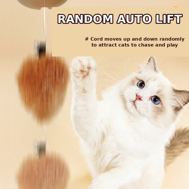 Cat Interactive Toys Sensor-Activated Automatic Interactive Capybara Exercice de chat intelligent