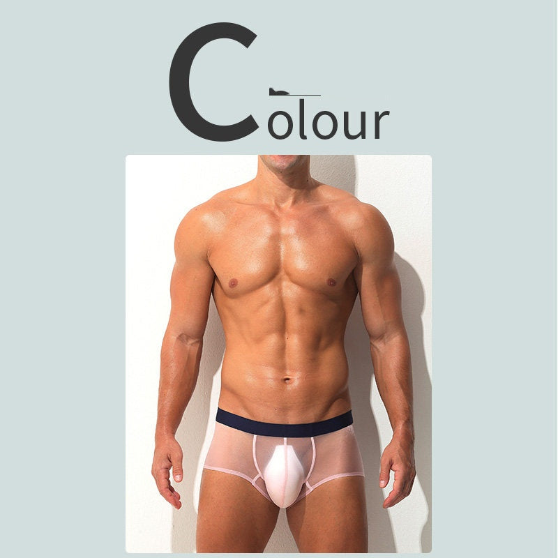 Boxer Slips Ultra-fin Sheer Silk glacé Low-rise Sexy