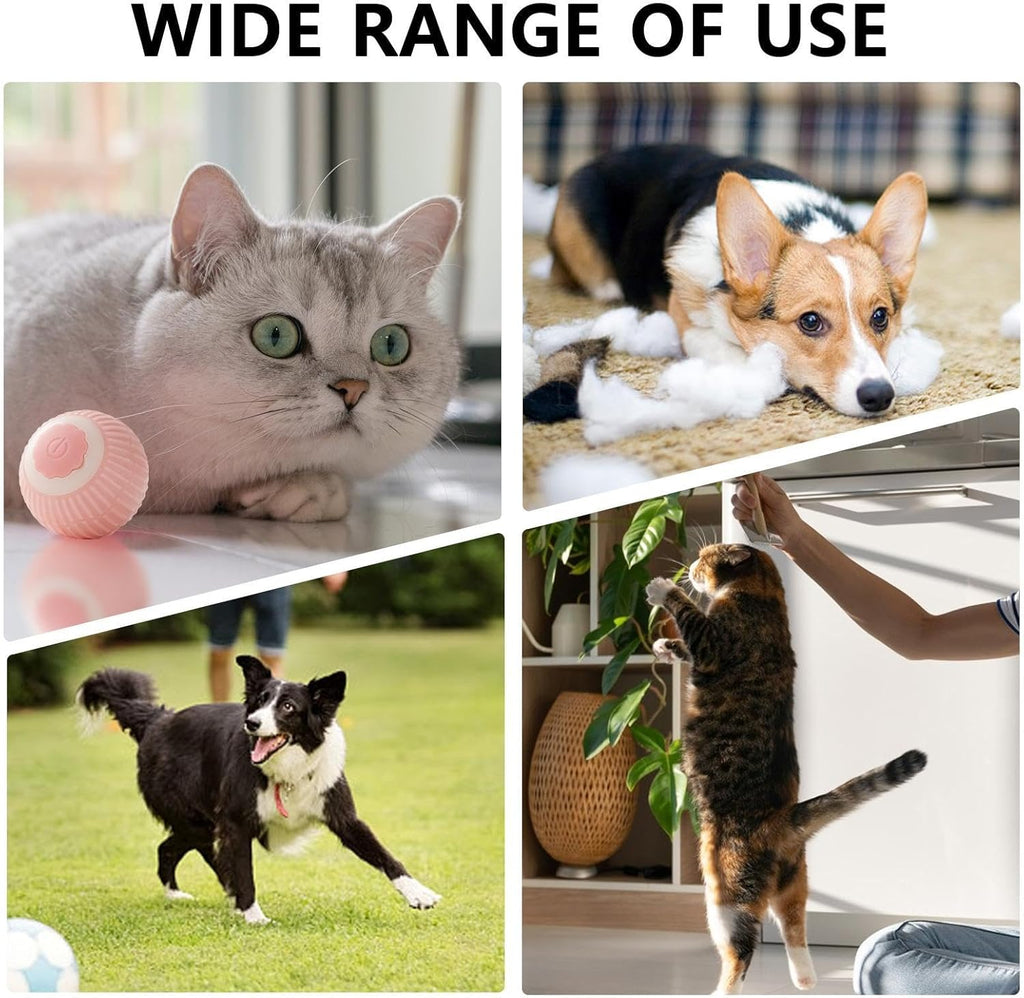 Jouet électrique de boule de chat de chien