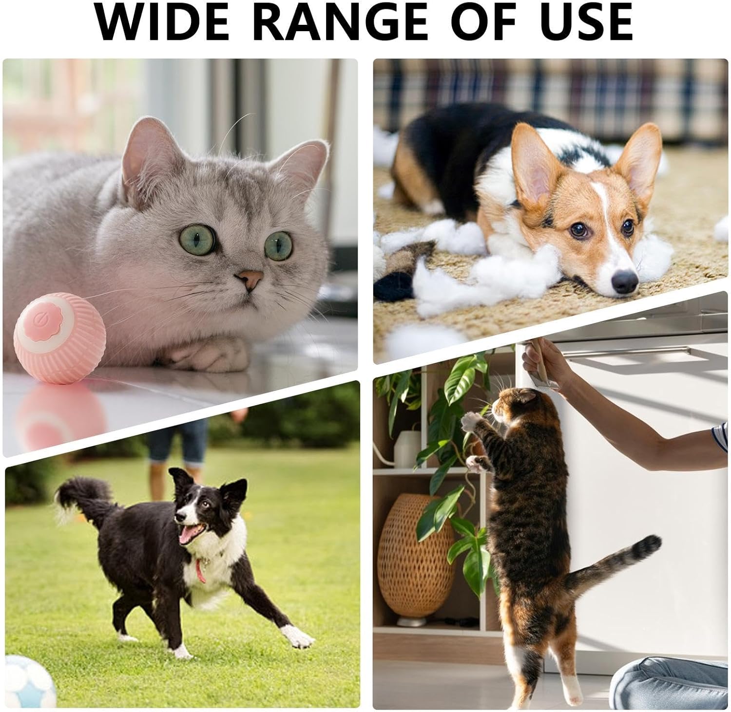 Jouet électrique de boule de chat de chien