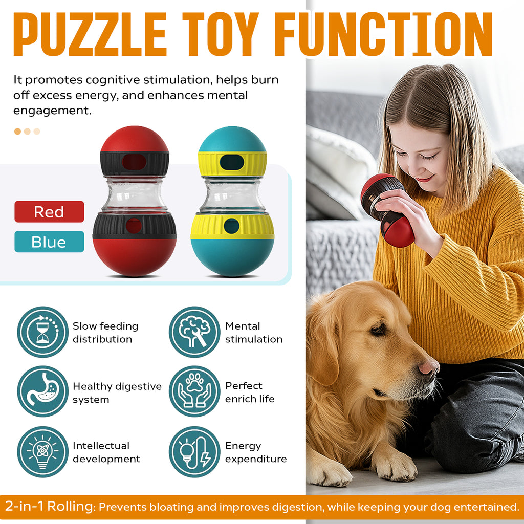 Jouet de puzzle pour chien