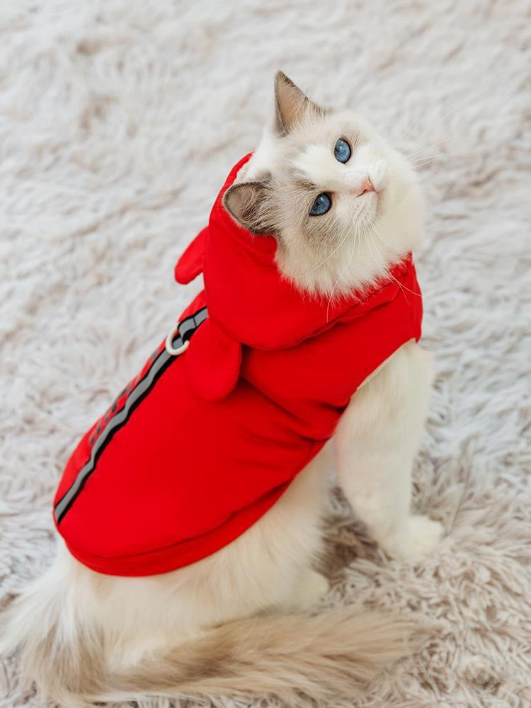 Autumn and Winter Anti-lint Muppet Blue Cat Silver Gradual Layer Pet British Shorthair Cat