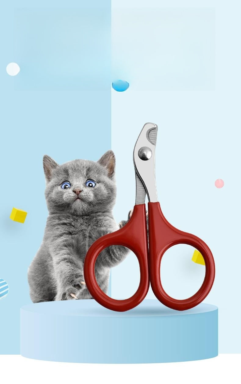 Pince à ongles pour animaux de compagnie Petite et moyenne taille
