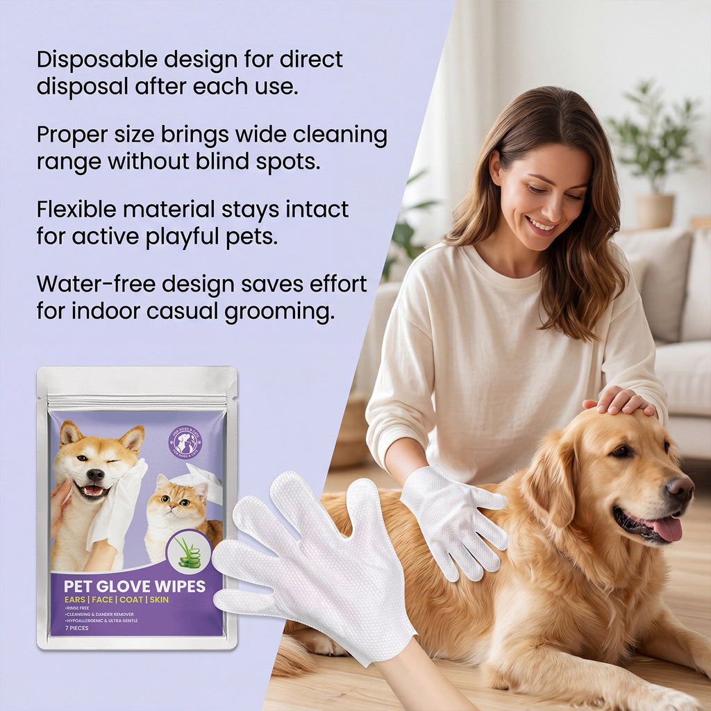 Essuie-glaces pour chats et chiens