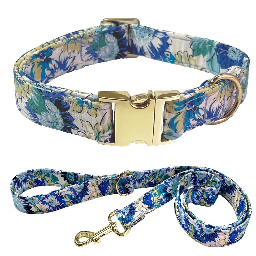 Collier gravé sur chien