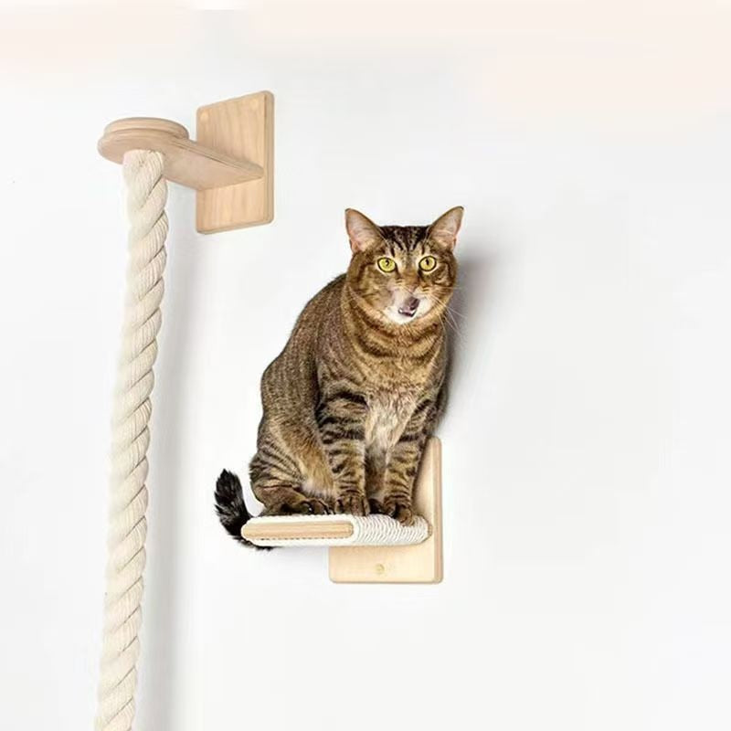 Jeu d'escalade plate-forme de saut d'obstacles muraux Cat Climber
