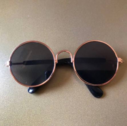 Lunettes de soleil pour chats