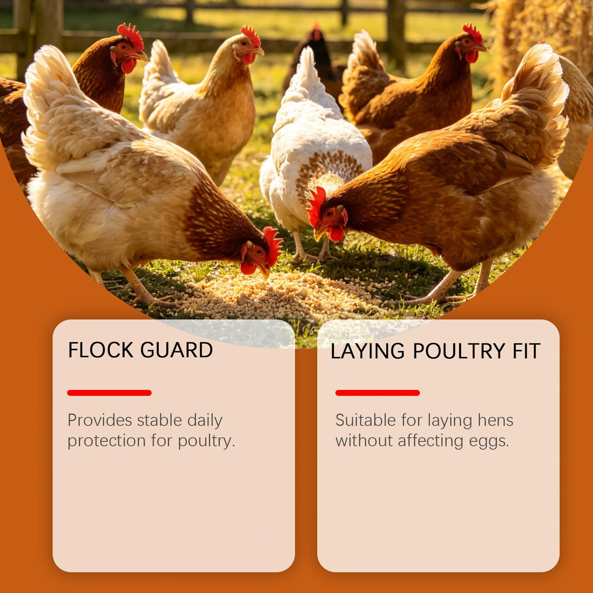 Kriath Chicken Care Supplement Nutritionnel and Healthy Pet Feed Additive encourage à manger A