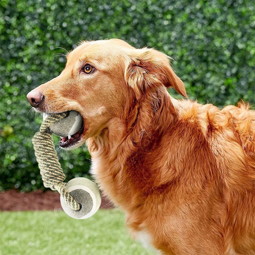 Jouets de chien de chien pour les grands petits chiens Jouet interactif coton Rope Mini Jouets de chien balle pour chiens