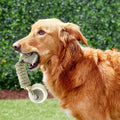 Jouets de chien de chien pour les grands petits chiens Jouet interactif coton Rope Mini Jouets de chien balle pour chiens