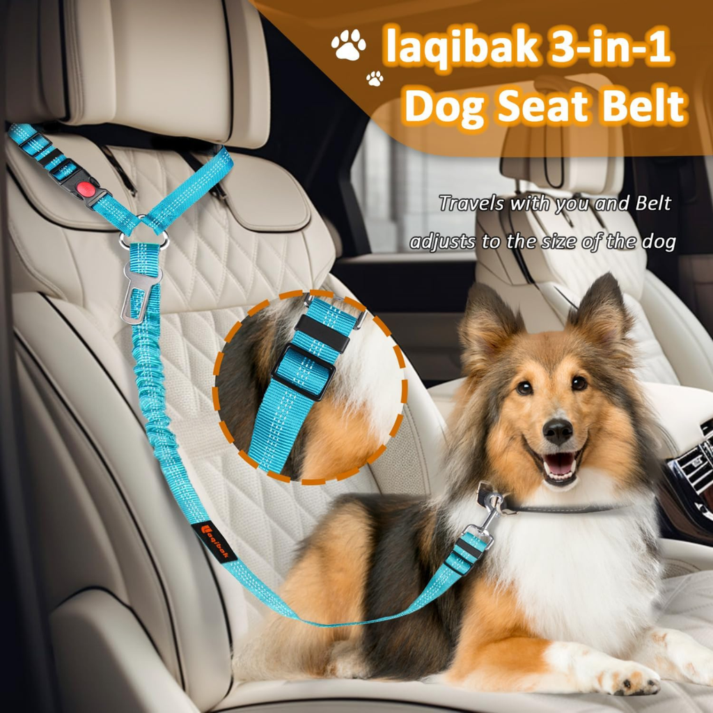 Ceinture de sécurité pour chien 3 en 1, attache voiture rétractable