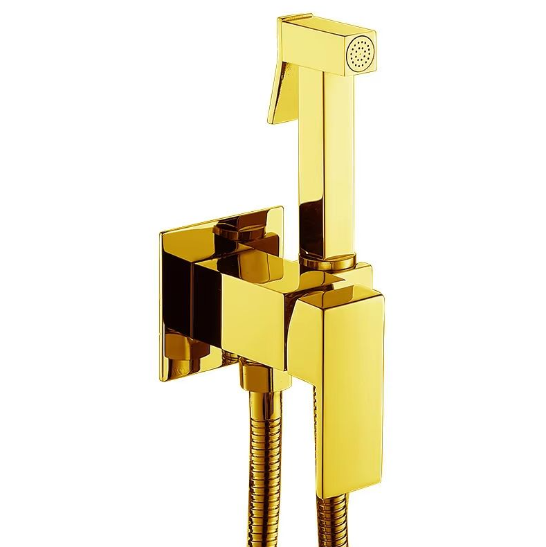 Ensemble de pulvérisateur de bidet en laiton et toilette froide