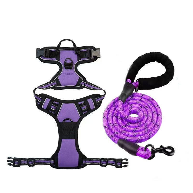 Harnais et jeu de laisses pour chien tout-en-un multicouches - Corde de marche en nylon durable pour Smal
