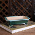 Planteur rectangulaire en céramique émaillée pour plantes vertes