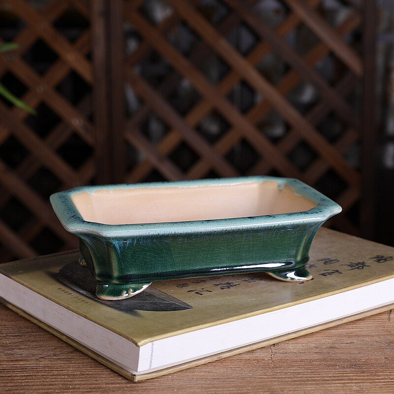 Planteur rectangulaire en céramique émaillée pour plantes vertes