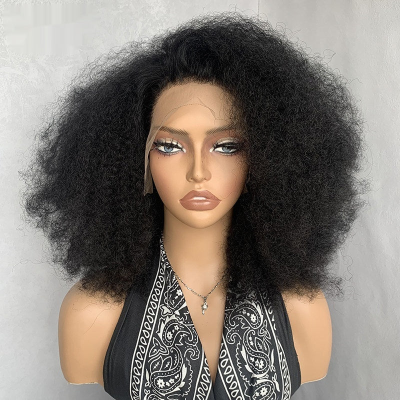 Afro Kinky Curly 80 Mélanger les cheveux humains Perruques Afro Kinky