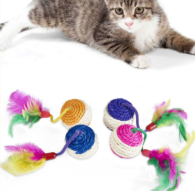 Playing with cats to relieve boredom