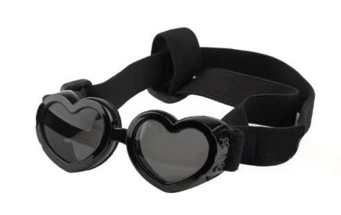 Accessoires de protection des yeux anti-vent