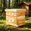 Plongée d'abeille pour l'extérieur