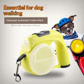Portable Automatic Retractable Dog Leash