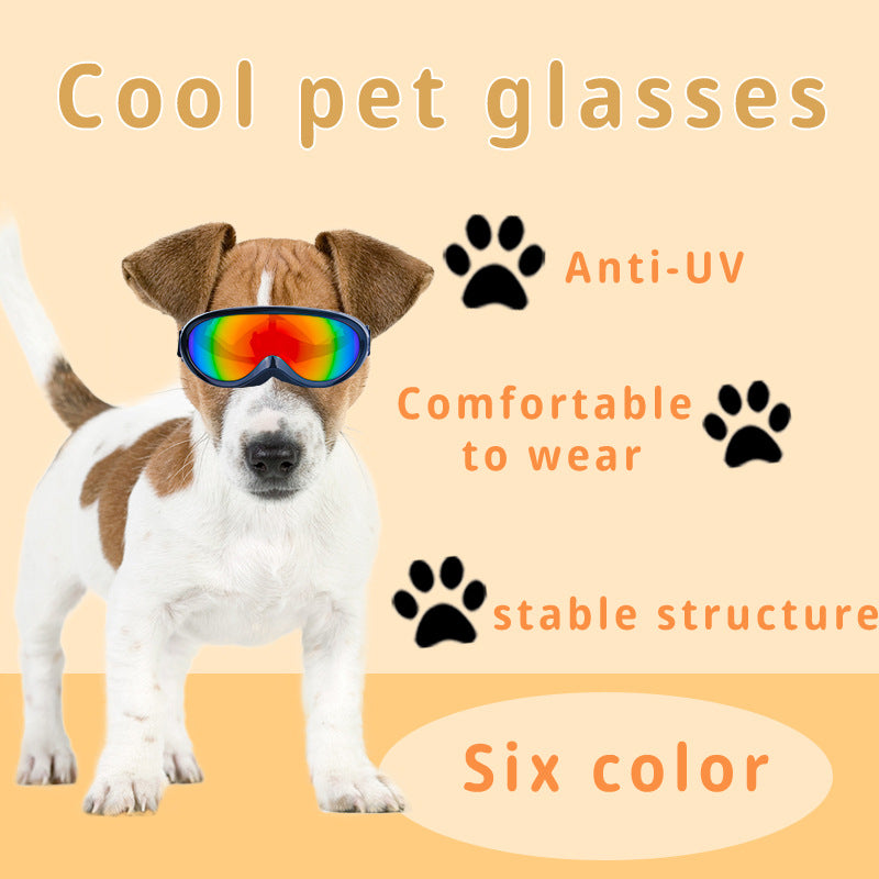 Lunettes de soleil anti-vent pour chat