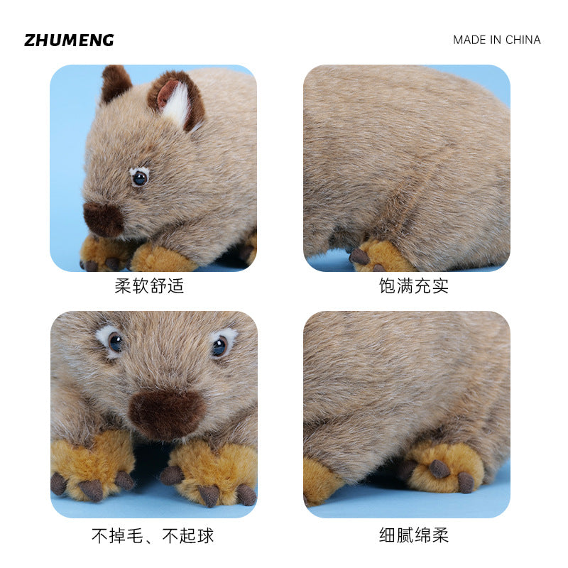 Jouet de poupée en peluche sauvage